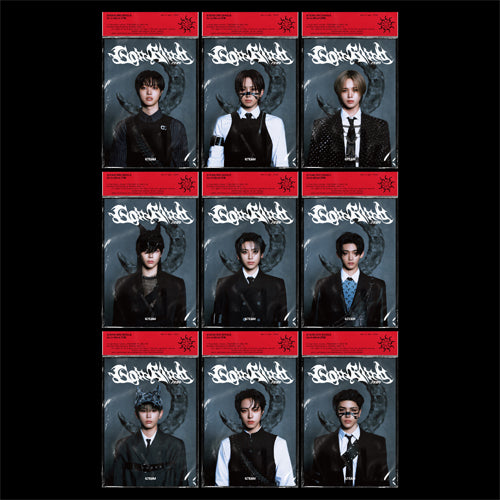 &TEAM - Go In Blind Album [Solo Version] 