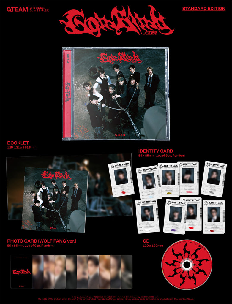 &TEAM - Go In Blind Album [Regular Version] Inclusions