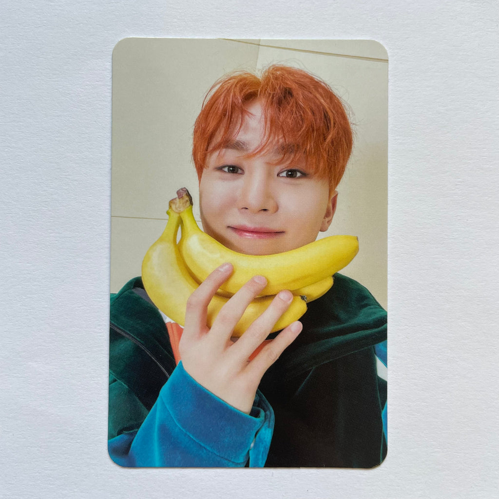 SEVENTEEN Collection on X: 