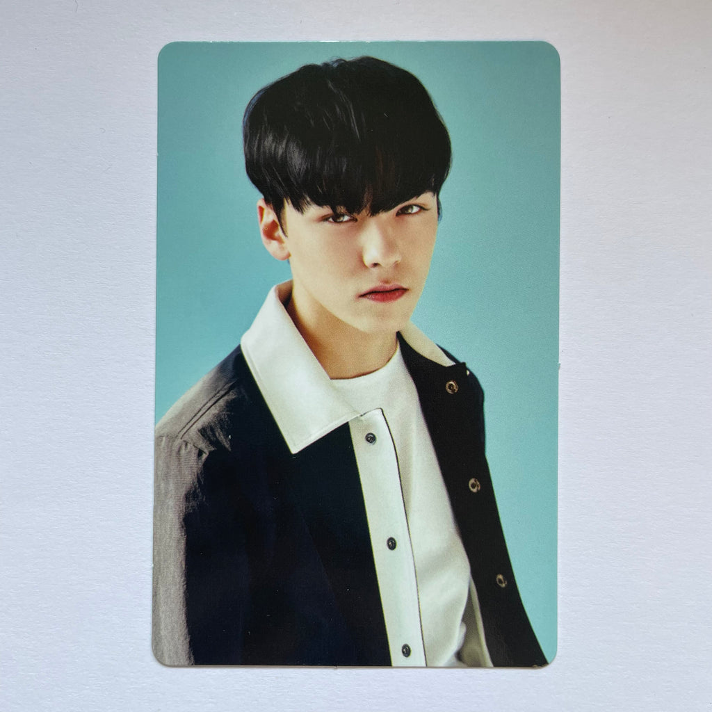 Seventeen – lilakshop