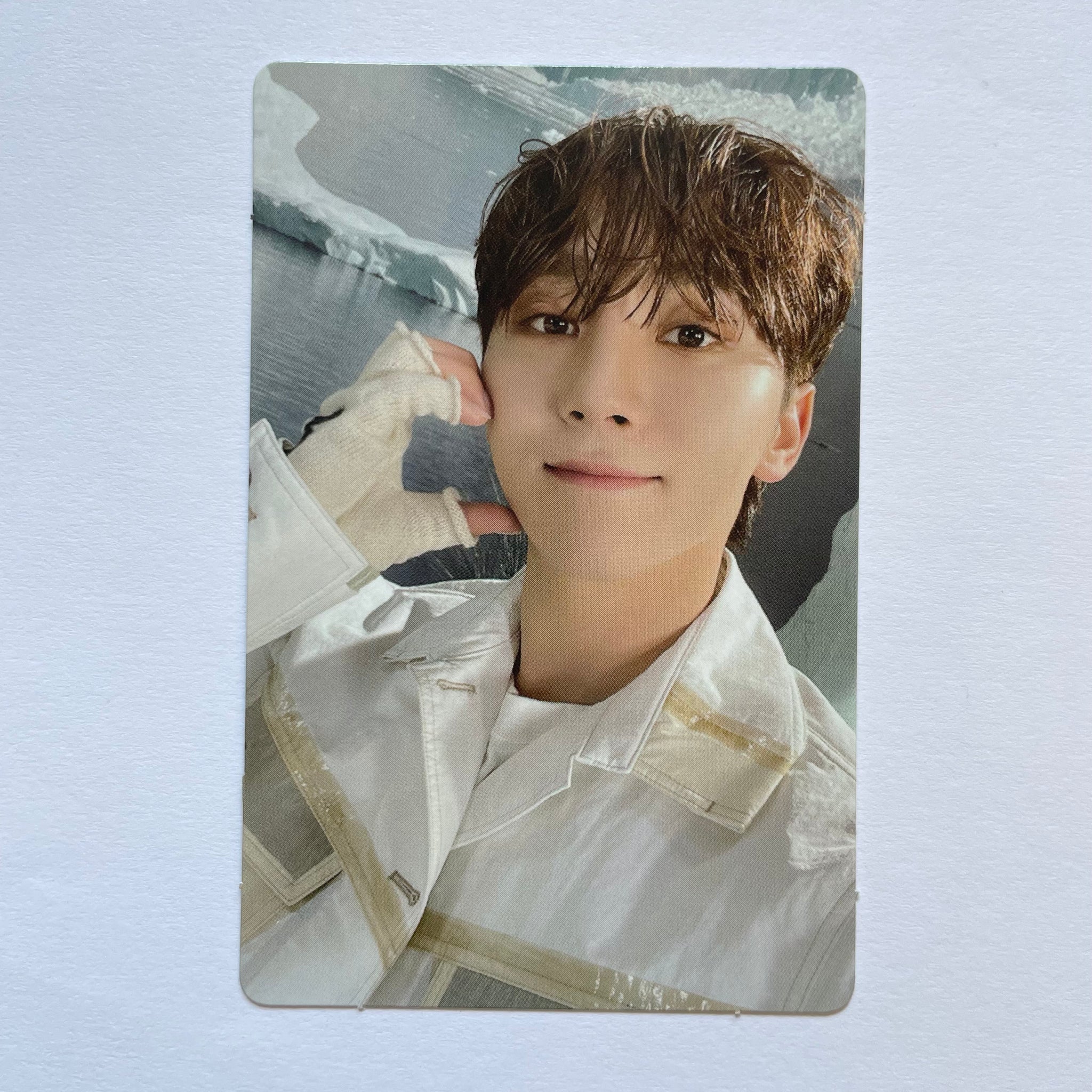 Seventeen – lilakshop