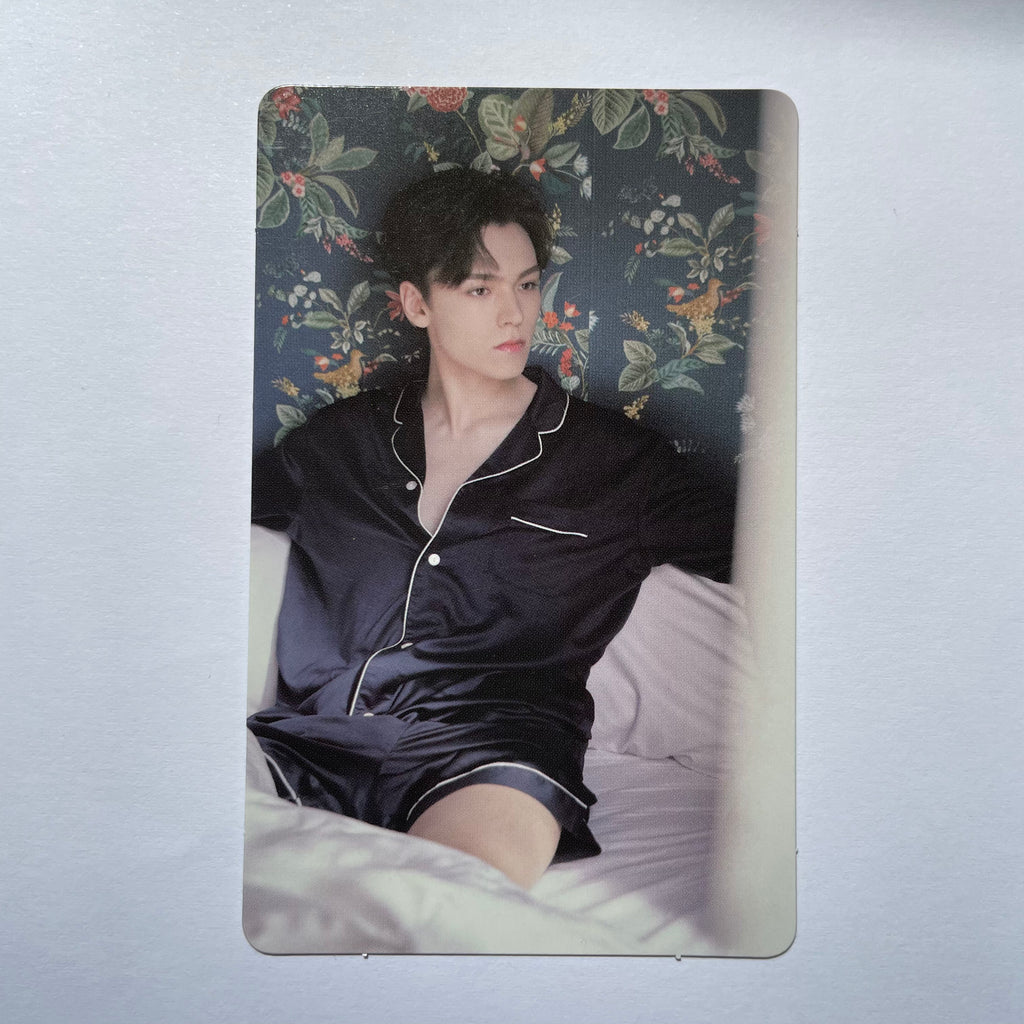 Seventeen – lilakshop