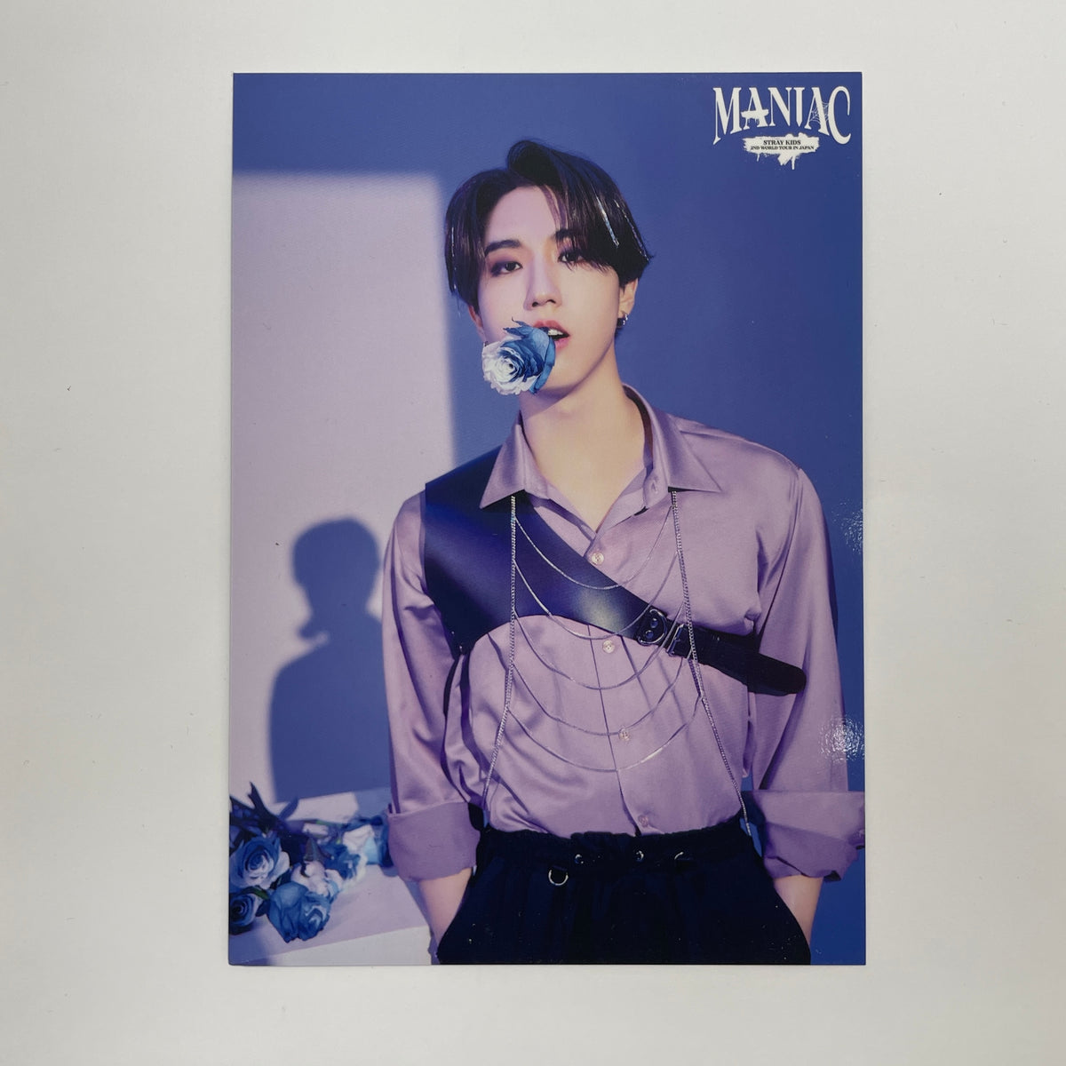 (RESTOCK) Stray Kids - Han Maniac Tour Merch Postcard – lilakshop