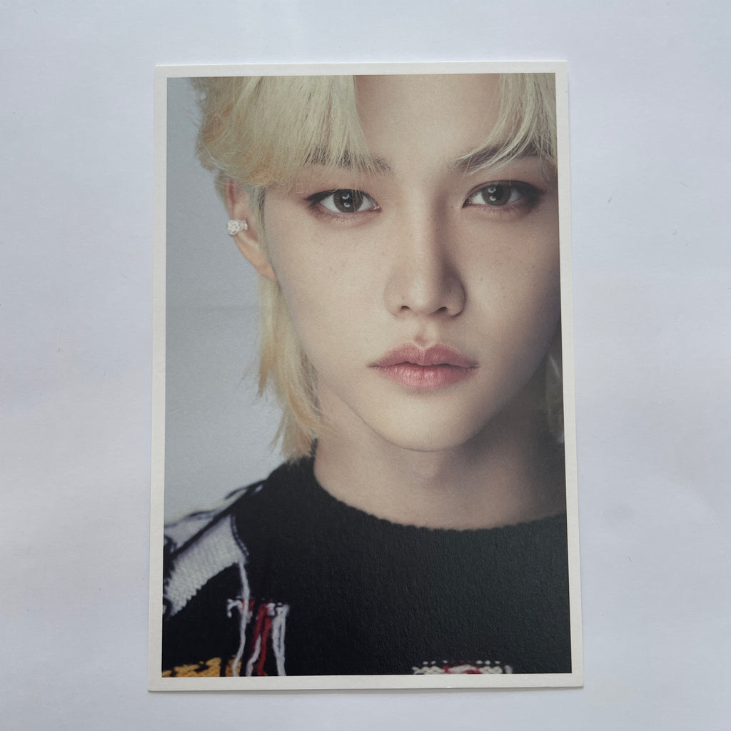 RESTOCK) Stray Kids - D