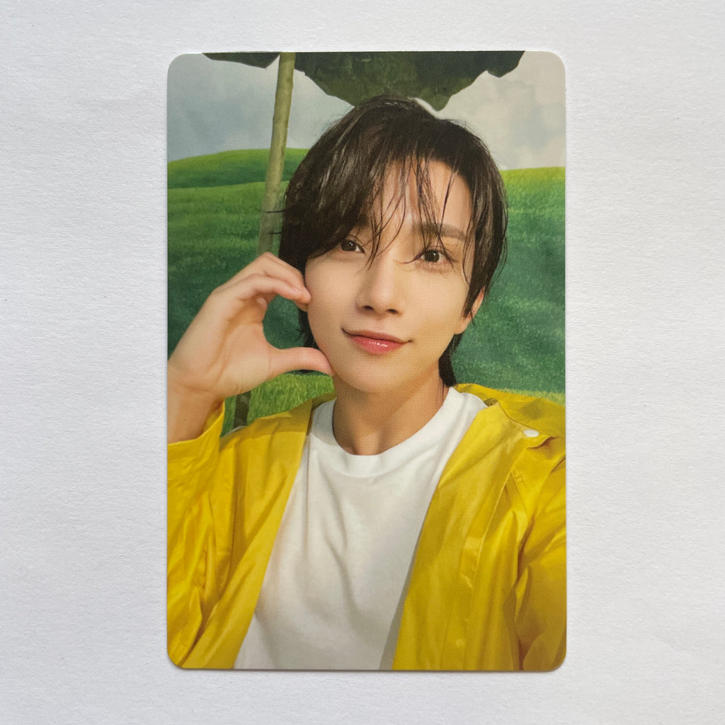 Seventeen – lilakshop