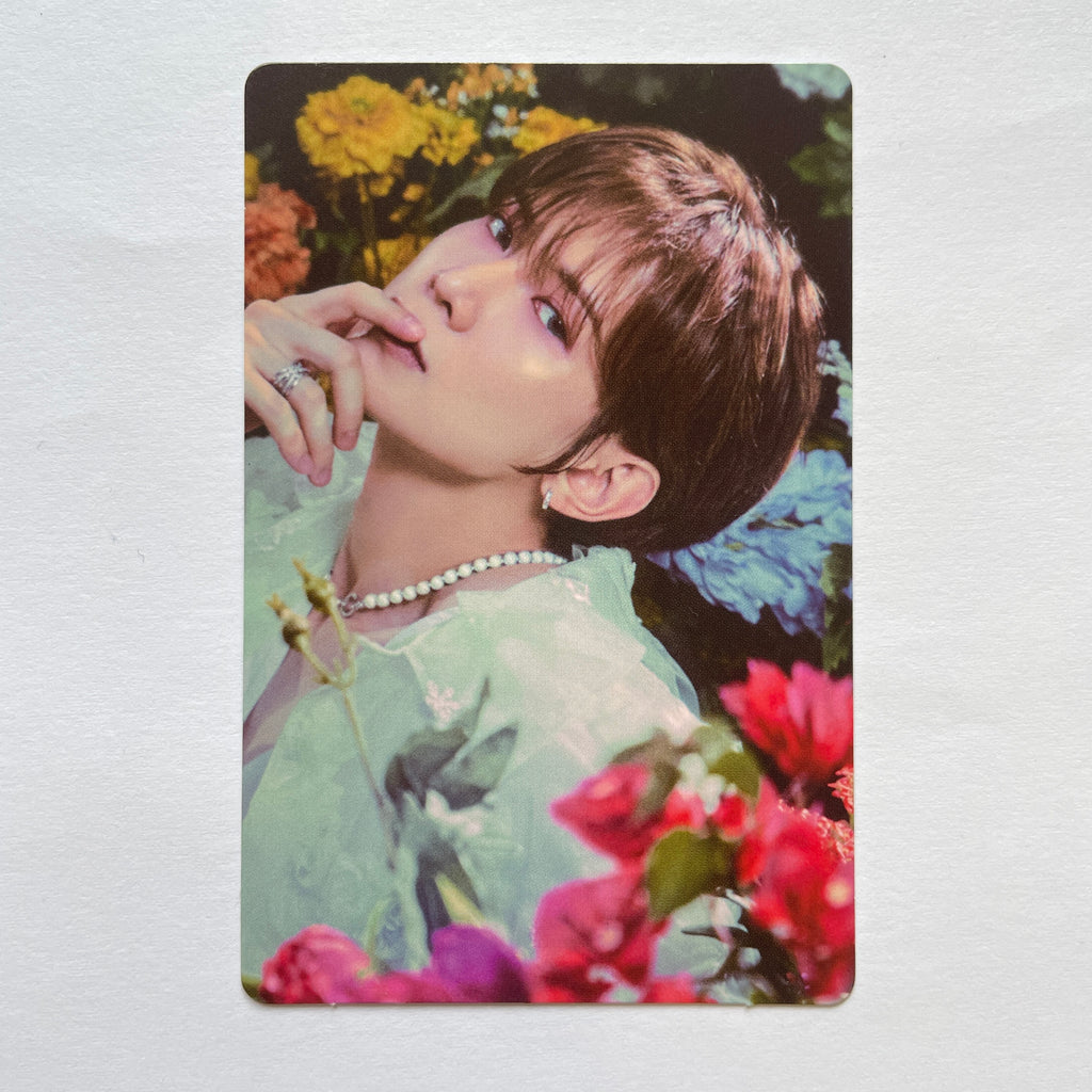 Yeosang – lilakshop