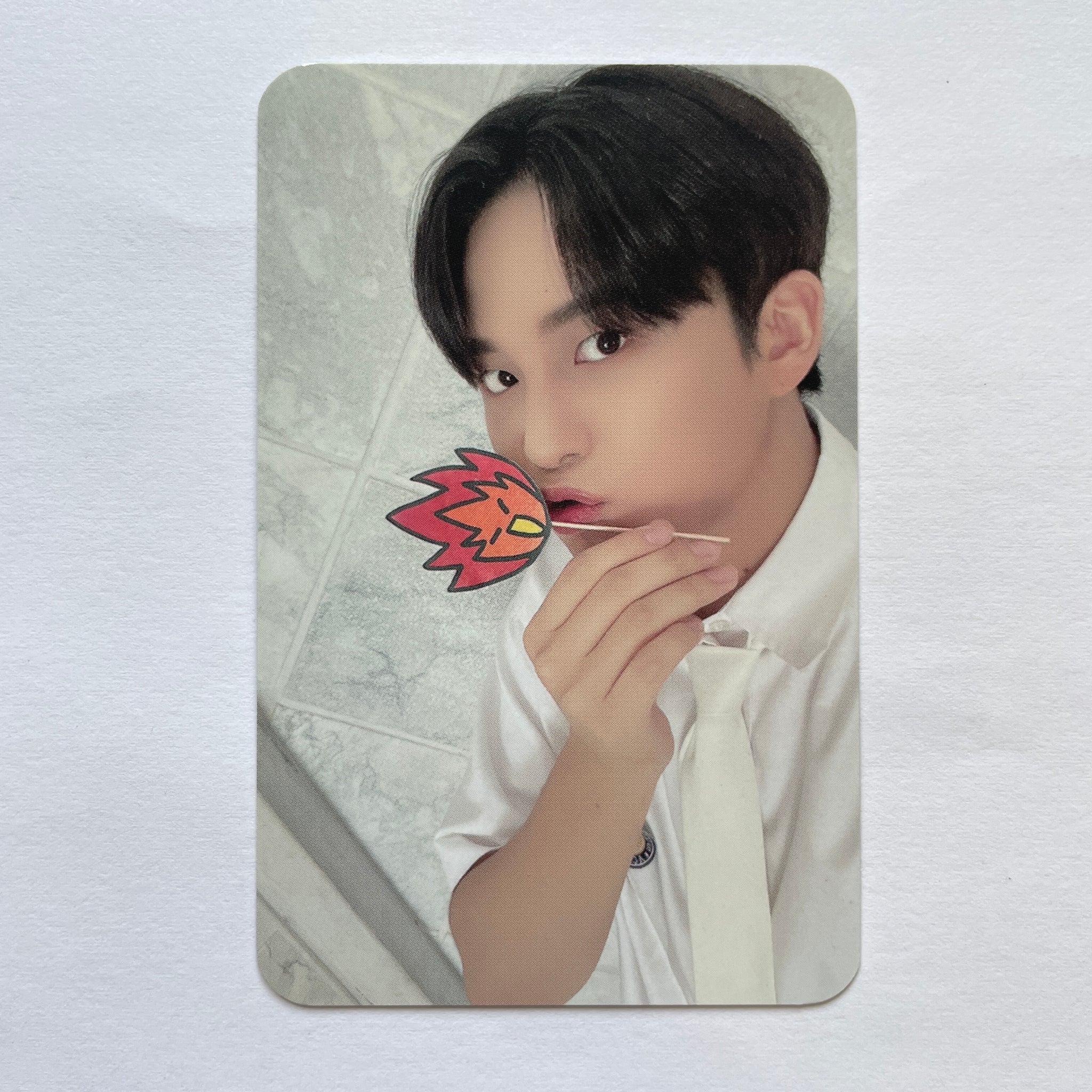 Jongho – lilakshop