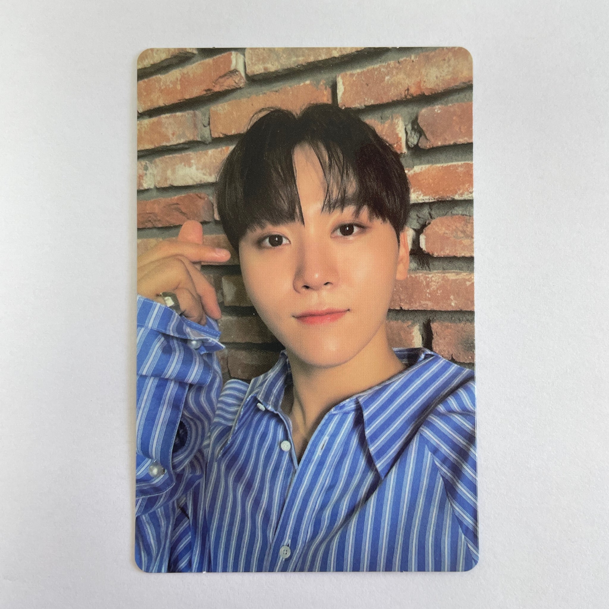 Seventeen – lilakshop