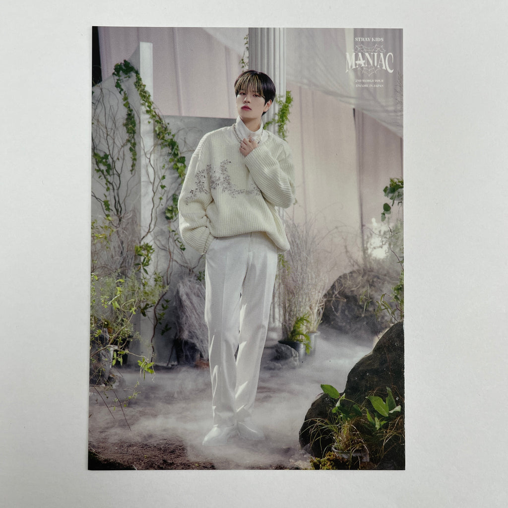 Seungmin – lilakshop