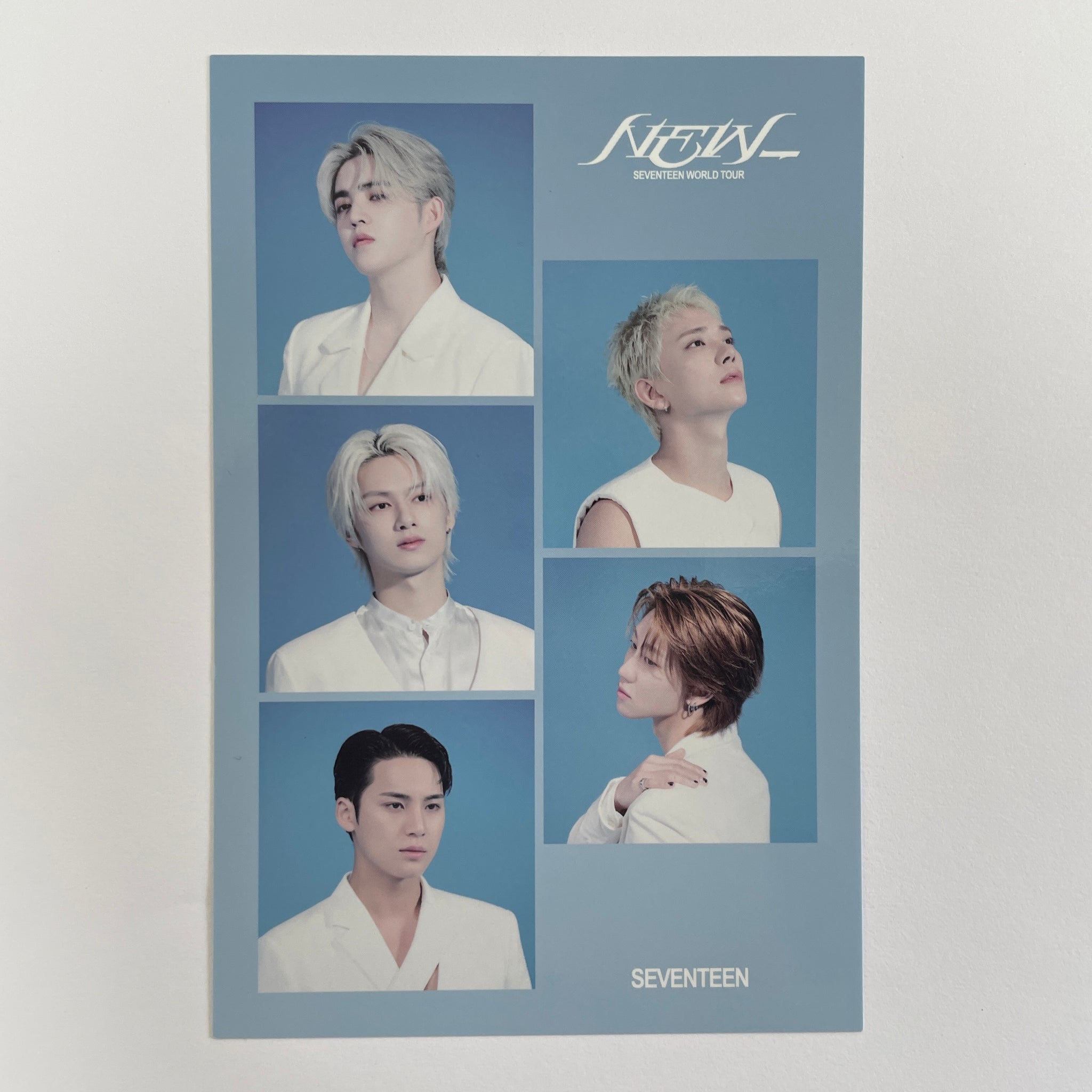 Seventeen – lilakshop