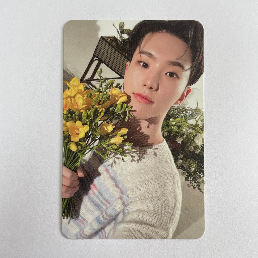 Seventeen – lilakshop
