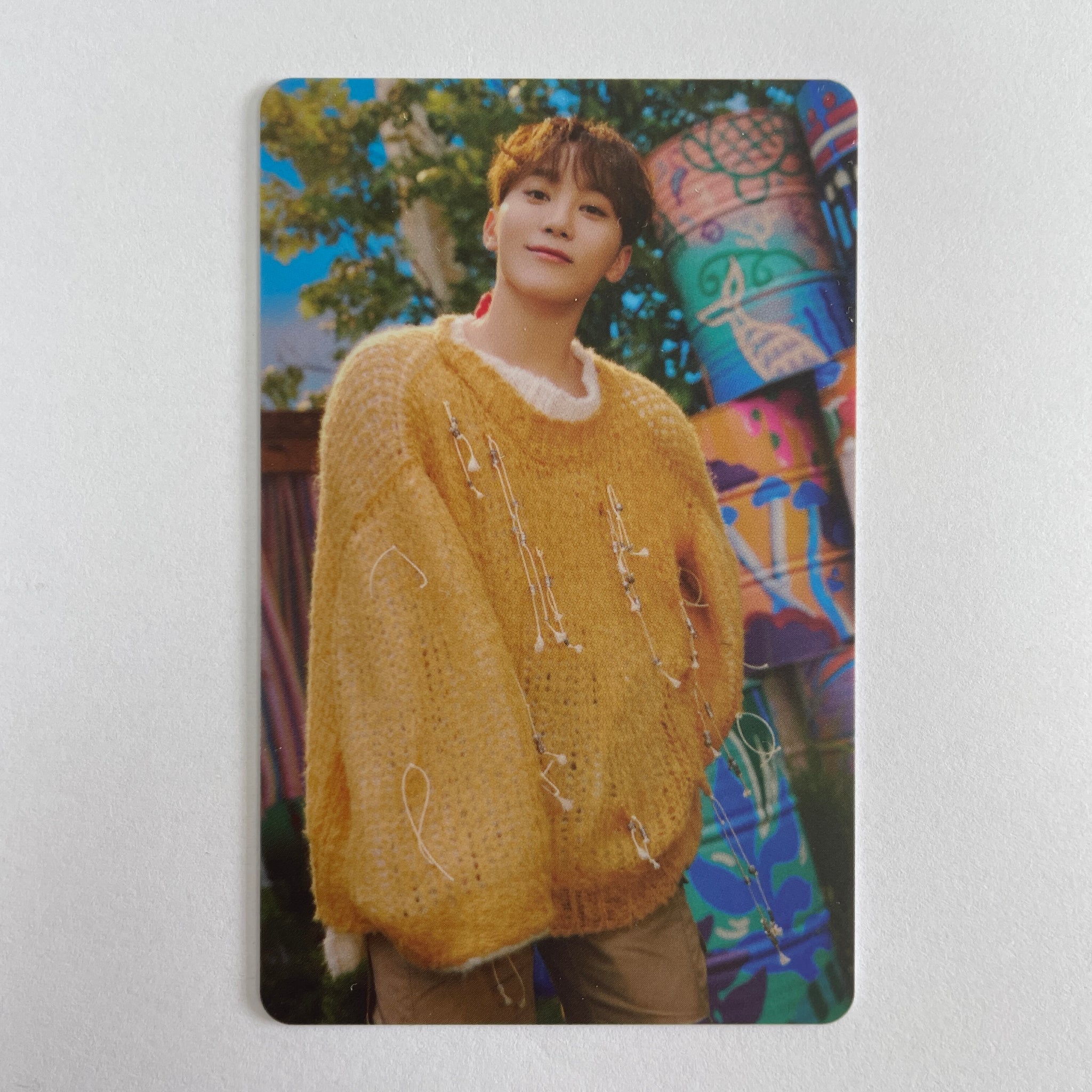 Seventeen – lilakshop
