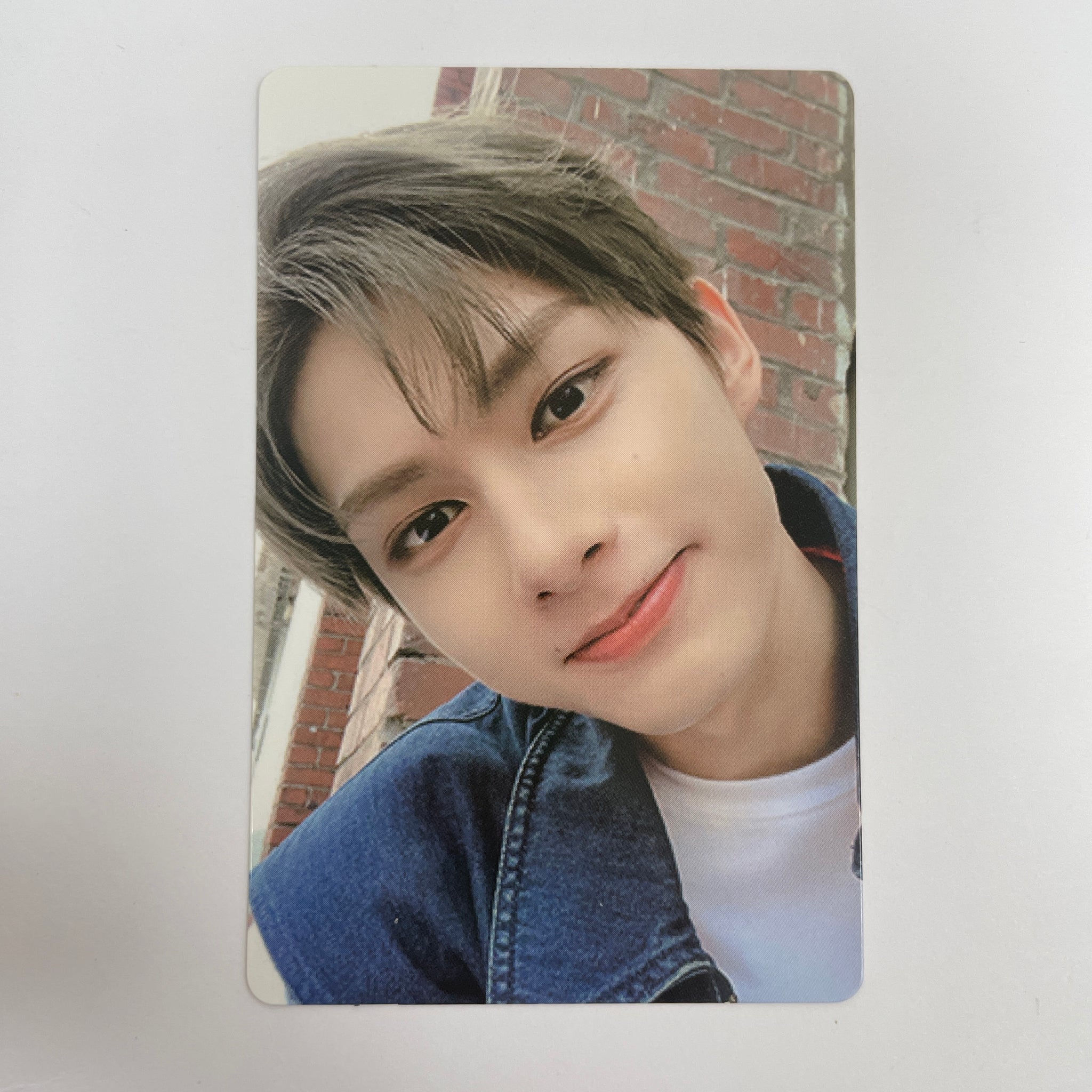 Seventeen – lilakshop