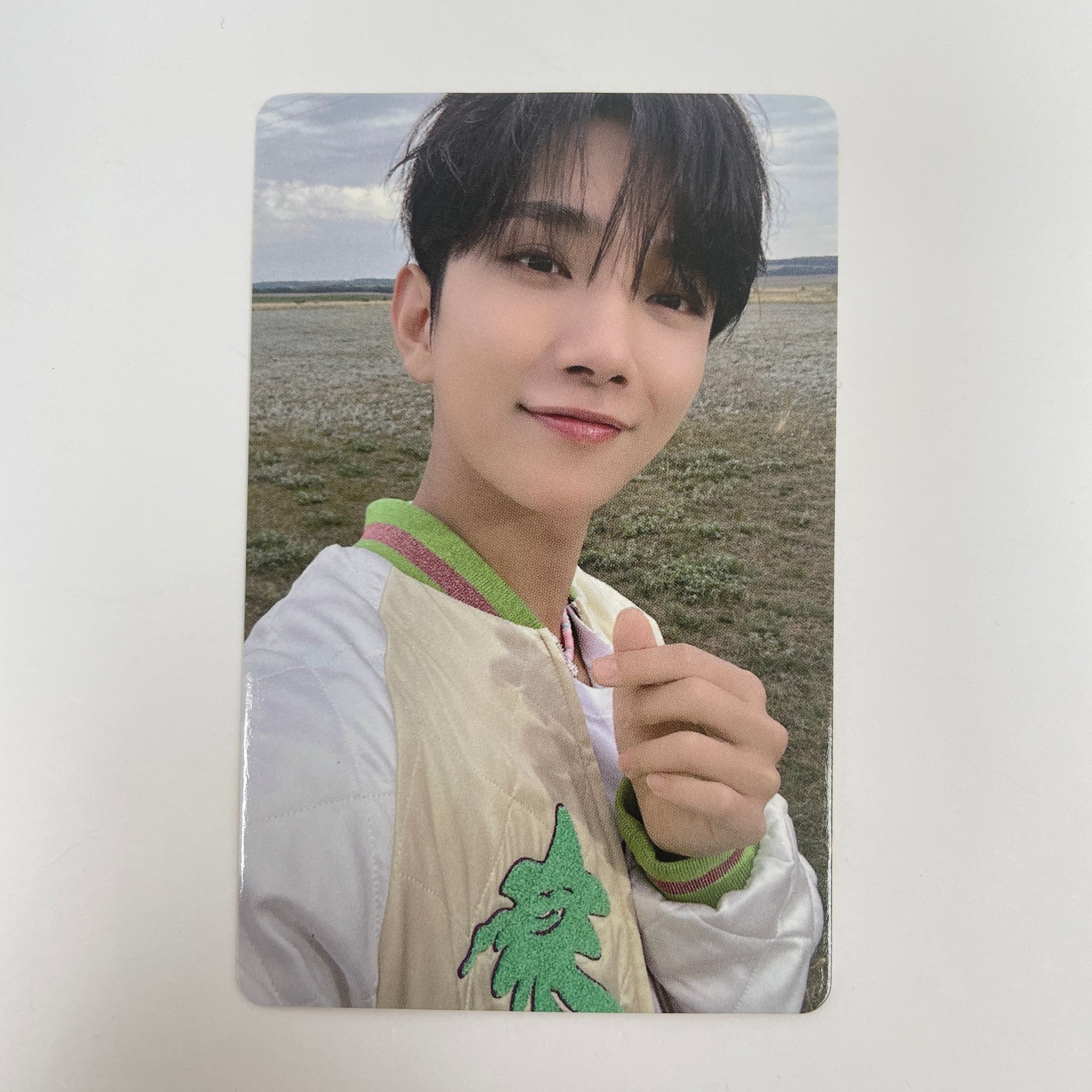 Seventeen – lilakshop