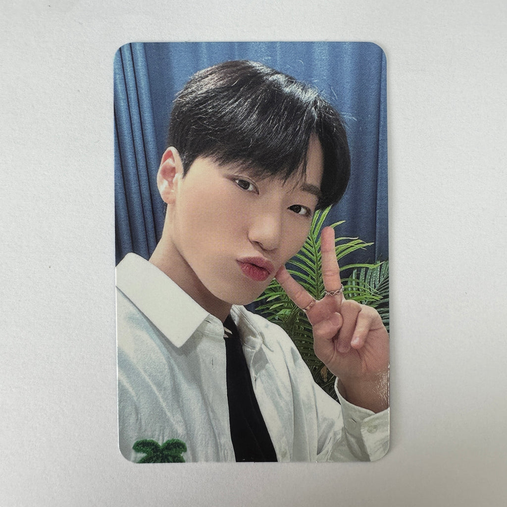 Ateez – lilakshop