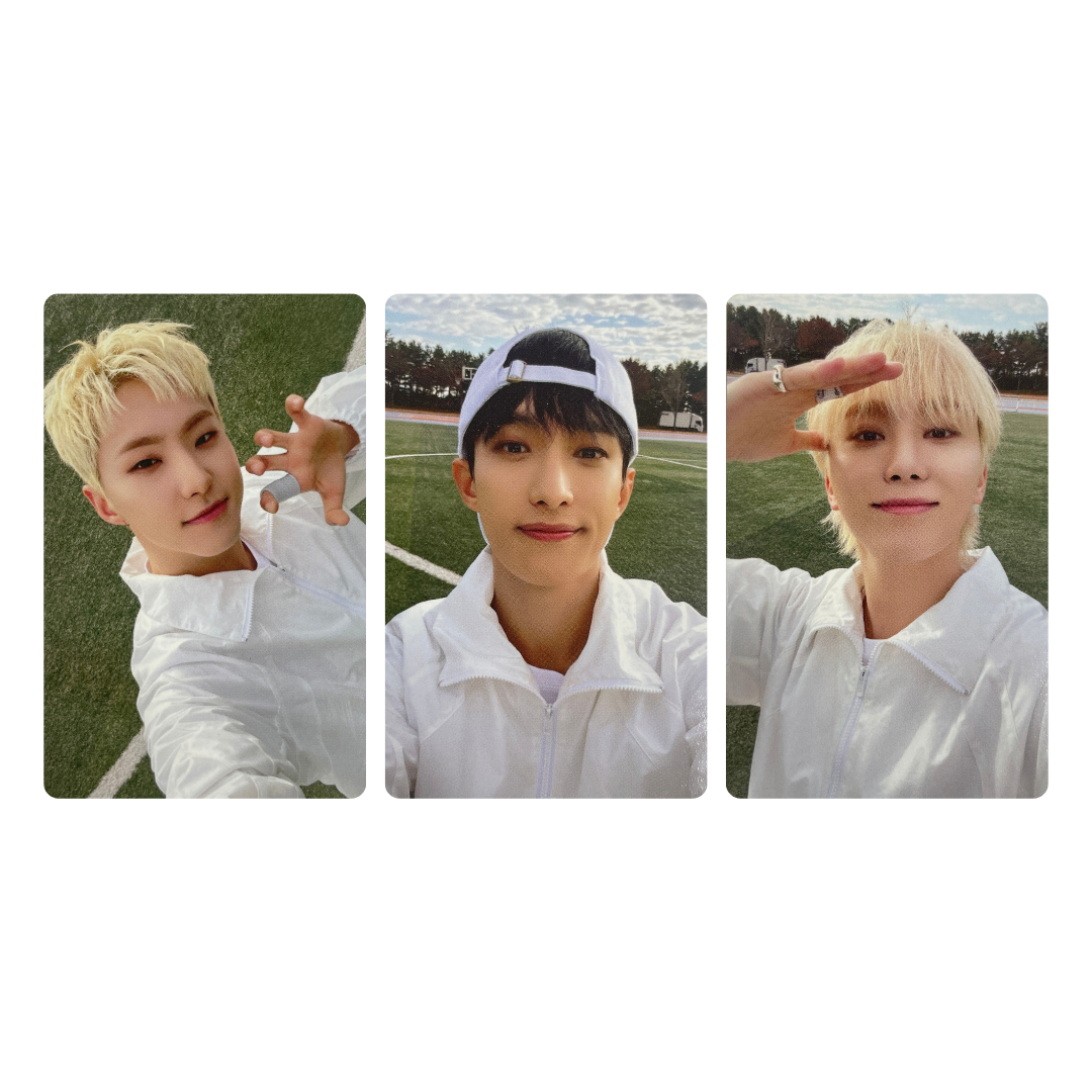 Seventeen – lilakshop