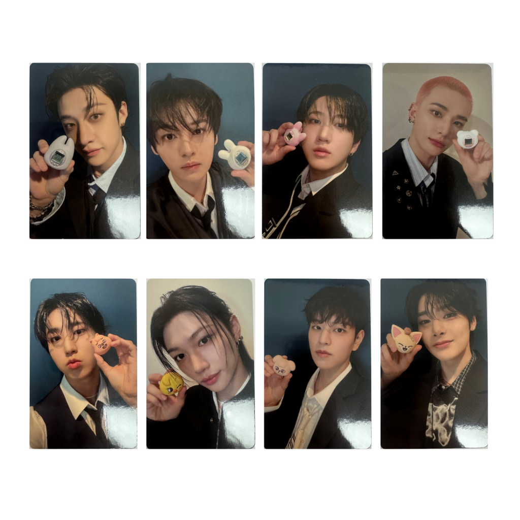 Straykids スキズ unveil ショーケース ポラ リノ 3枚セット straykids 2022シーグリポラ リノセット 240603 Stray Kids