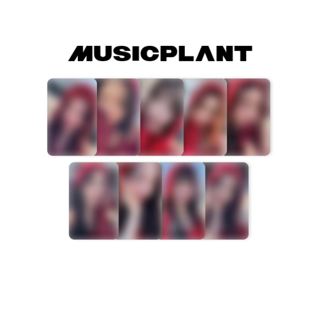 Twice – lilakshop